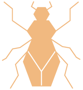 cockroach icon