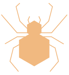 spider icon